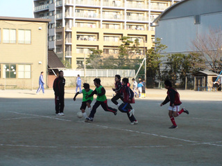 DSC00237-2.jpg